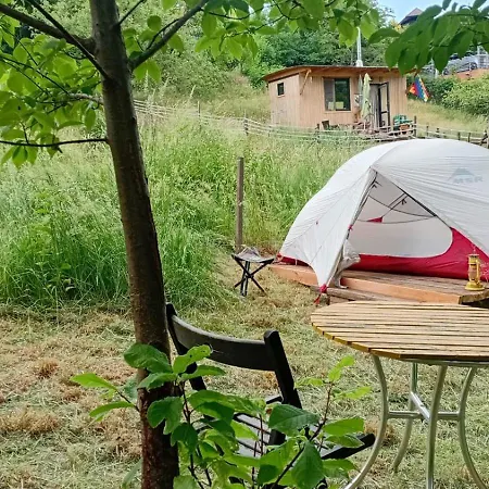 Wild Place To Put Your Tent Campsite *