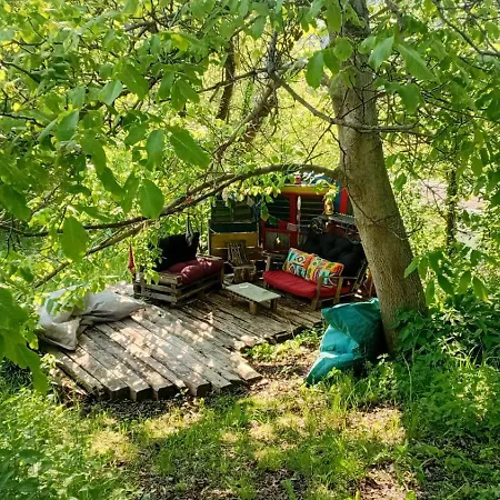 Campsite Wild Place To Put Your Tent